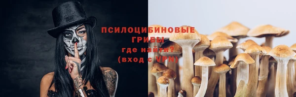 jwh Алзамай