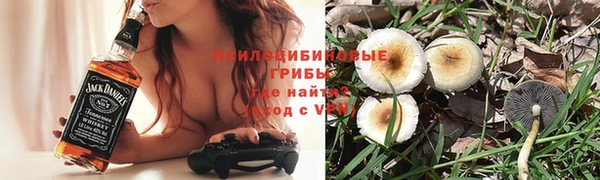 первитин Алексеевка