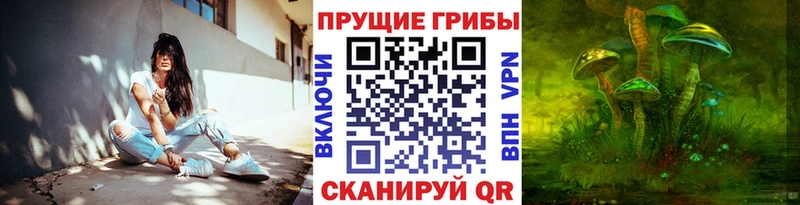 Галлюциногенные грибы Psilocybe  Белгород 